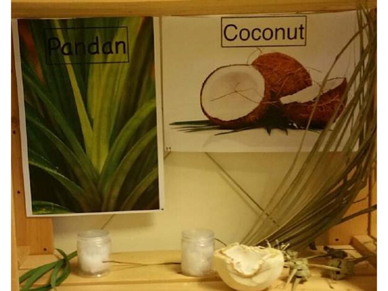 “Coconut and Pandan Discovery” • Creative Thinkers Preschool